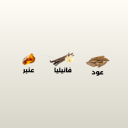 ⁦عطر دار سلوى - 100 مل⁩ - الصورة ⁦2⁩