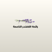 ⁦مسك لافندر بخاخ - 75 مل⁩ - الصورة ⁦2⁩